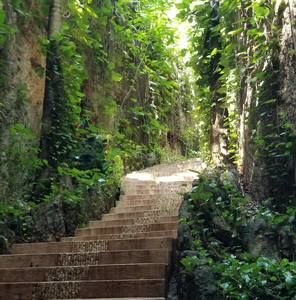 Meet your Posher, Corinne